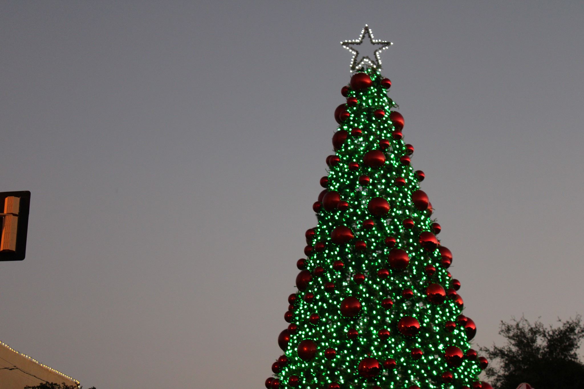 Downtown Christmas Tree Lighting 2025