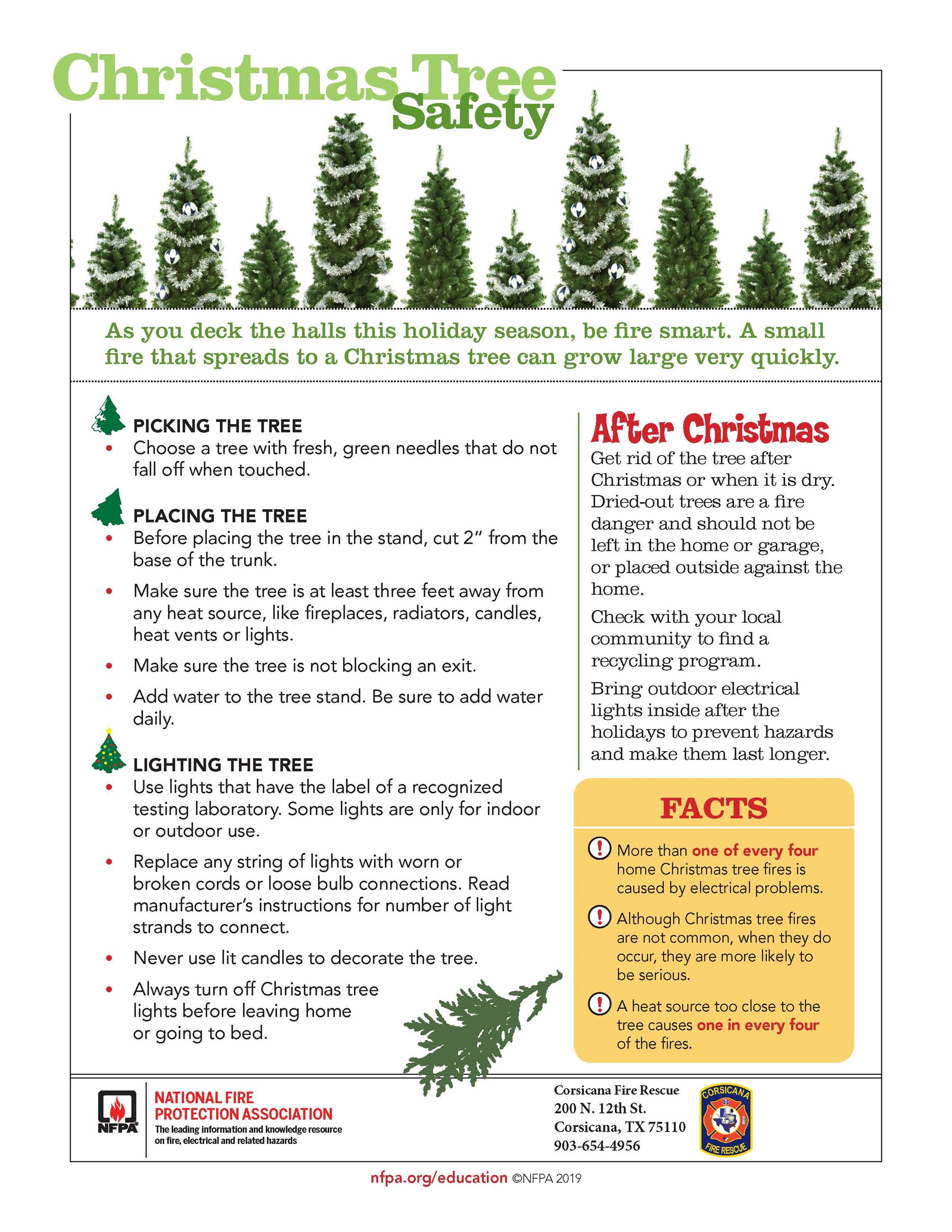 ChristmasTreeSafetyTips